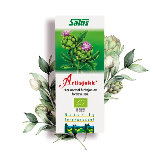 Artiskoksaft Schönenberger Økologisk