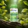 Astragalus