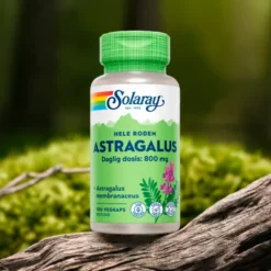 Astragalus