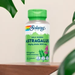 Astragalus