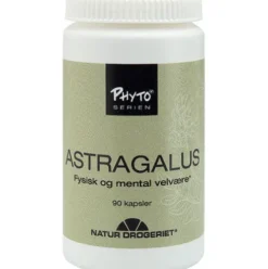 Astragalus