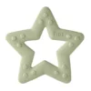 Baby Bitie Star Sage