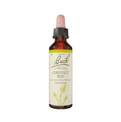 Bach Originale Blomsterremedier | Kastanjeknop