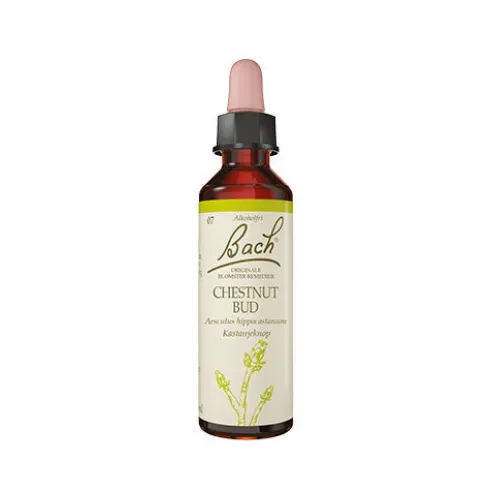Bach Originale Blomsterremedier | Kastanjeknop