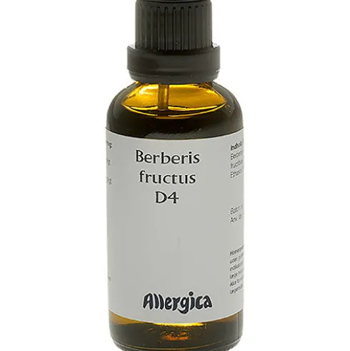 Berberis Fructus D4