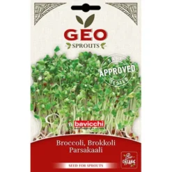 Broccoli Raab Til Spiring Økologisk