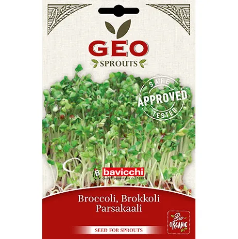 Broccoli Raab Til Spiring Økologisk