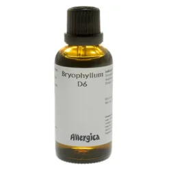 Bryophyllum D6
