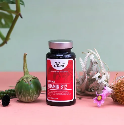 B12 Vitamin