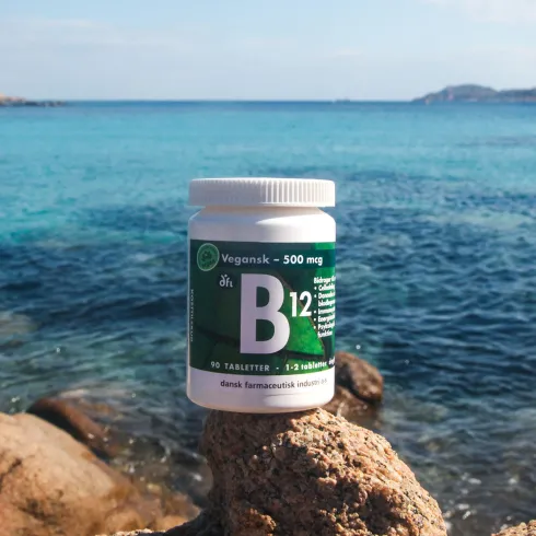 B12 Vitamin 500 Mcg
