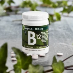 B12 Vitamin 500 Mcg