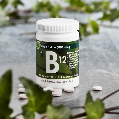 B12 Vitamin 500 Mcg