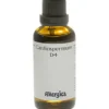Cardiospermum D4