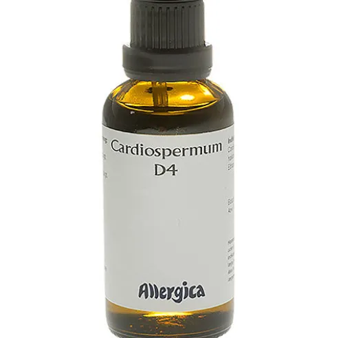 Cardiospermum D4