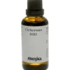 Cichorium D20