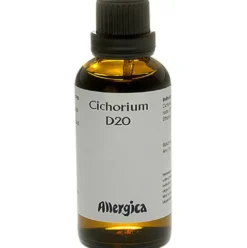 Cichorium D20