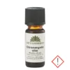 Citronmynteolie