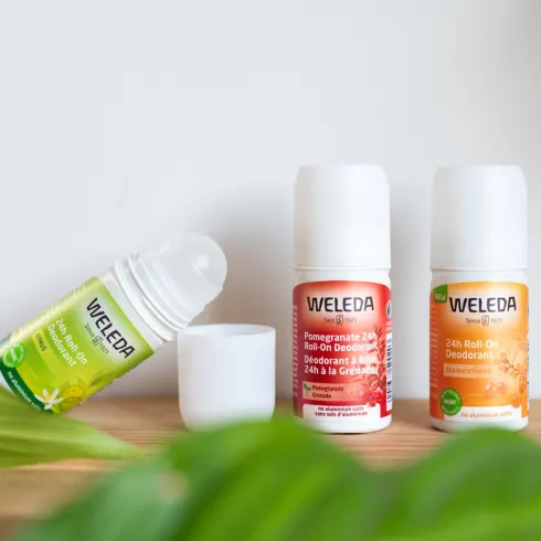Citrus 24h Roll-on Deodorant
