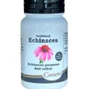 Echinacea