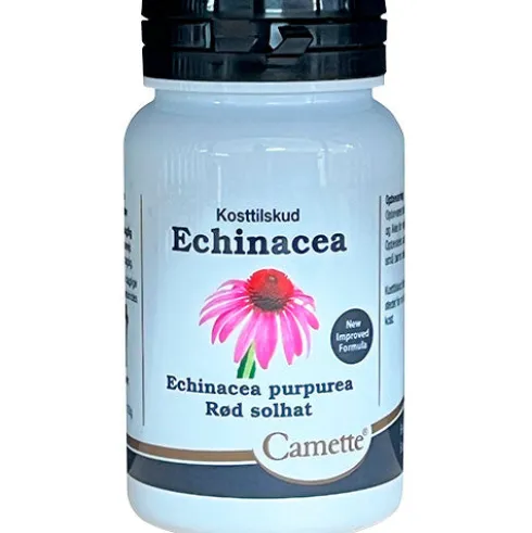 Echinacea