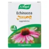 Echinacea Junior