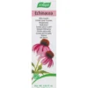 Echinacea Skin Cream