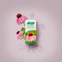 Echinaforce dråber