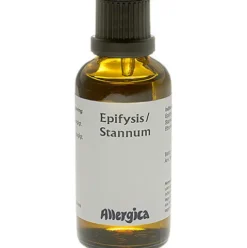 Epifysis, Stannum