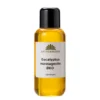 Eucalyptus Massageolie Økologisk