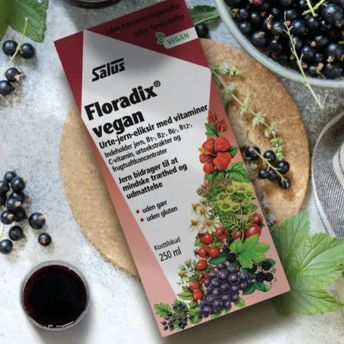 Floradix Vegan