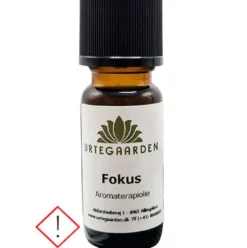 Fokus