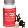 Fucoid