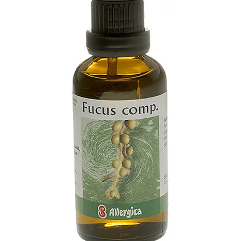 Fucus Comp.
