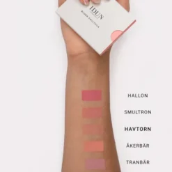 IDUN Minerals Blush | Havtorn Brunrosa
