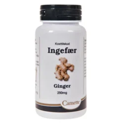Ingefær