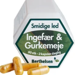 Ingefær & Gurkemeje