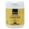 Ingefær Kapsler Økologisk