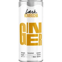 Økologisk Kombucha | Ginger