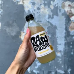 Kombucha Hyldeblomst Økologisk