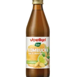 Kombucha Lime-ingefær Økologisk