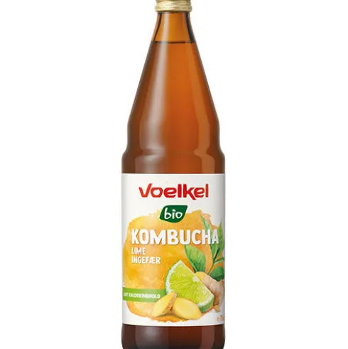 Kombucha Lime & Ingefær Økologisk
