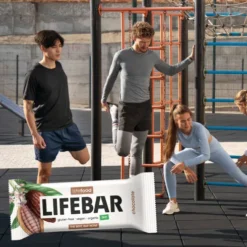 Lifebar Chocolate Raw Økologisk
