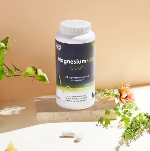 Magnesium+300 Citrat