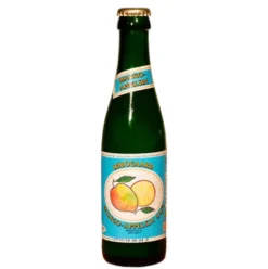 Mango-appelsin Saft Økologisk