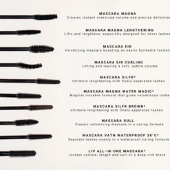 Mascara | Eir Black 013