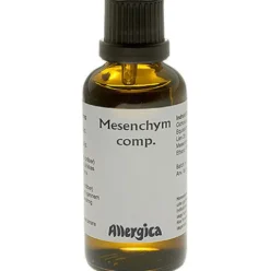 Mesenchym Comp.