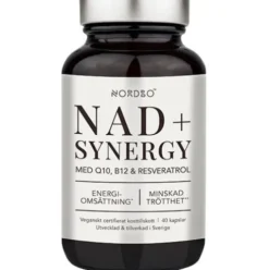 Nad+ Synergy