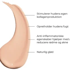 Natural Glow Liquid Foundation | Ivory 206