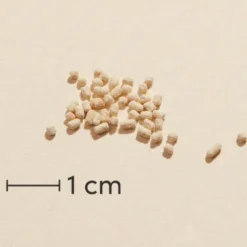 Omniomega Lecithin