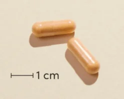 Omnivita B Total